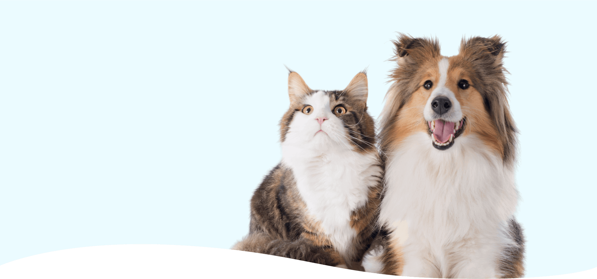 Tailhead Innovations